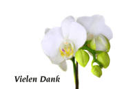 Danksagungskarten Sterbefall