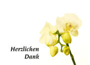 Danksagungskarten Beerdigung