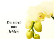 Danksagungskarten Druckerei