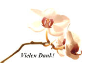 Danksagungskarten vorgefertigt