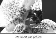 Danksagungskarten selber drucken