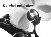 Danksagungskarten einzigartix
