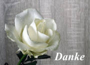 Danksagungskarten Todesfall