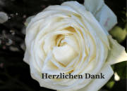 Danksagungskarten entwerfen