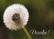 Danksagungskarten Todesfall
