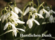 Danksagungskarten Anzeige